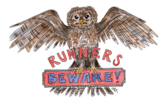 Runners Beware Owl | Acrylic Ornament